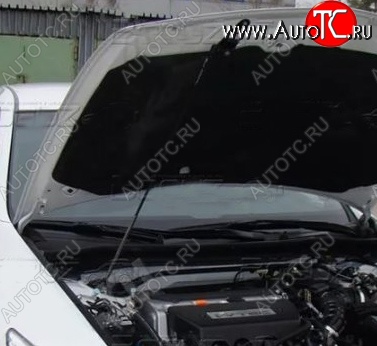 2 969 р. Газовый упор капота Tuning-Sport  Honda Accord  8 CU (2008-2011) седан дорестайлинг  с доставкой в г. Керчь