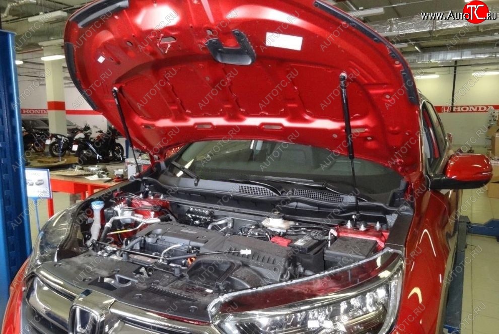2 049 р. Упоры капота Russtal Honda CR-V RW,RT дорестайлинг (2016-2020)  с доставкой в г. Керчь