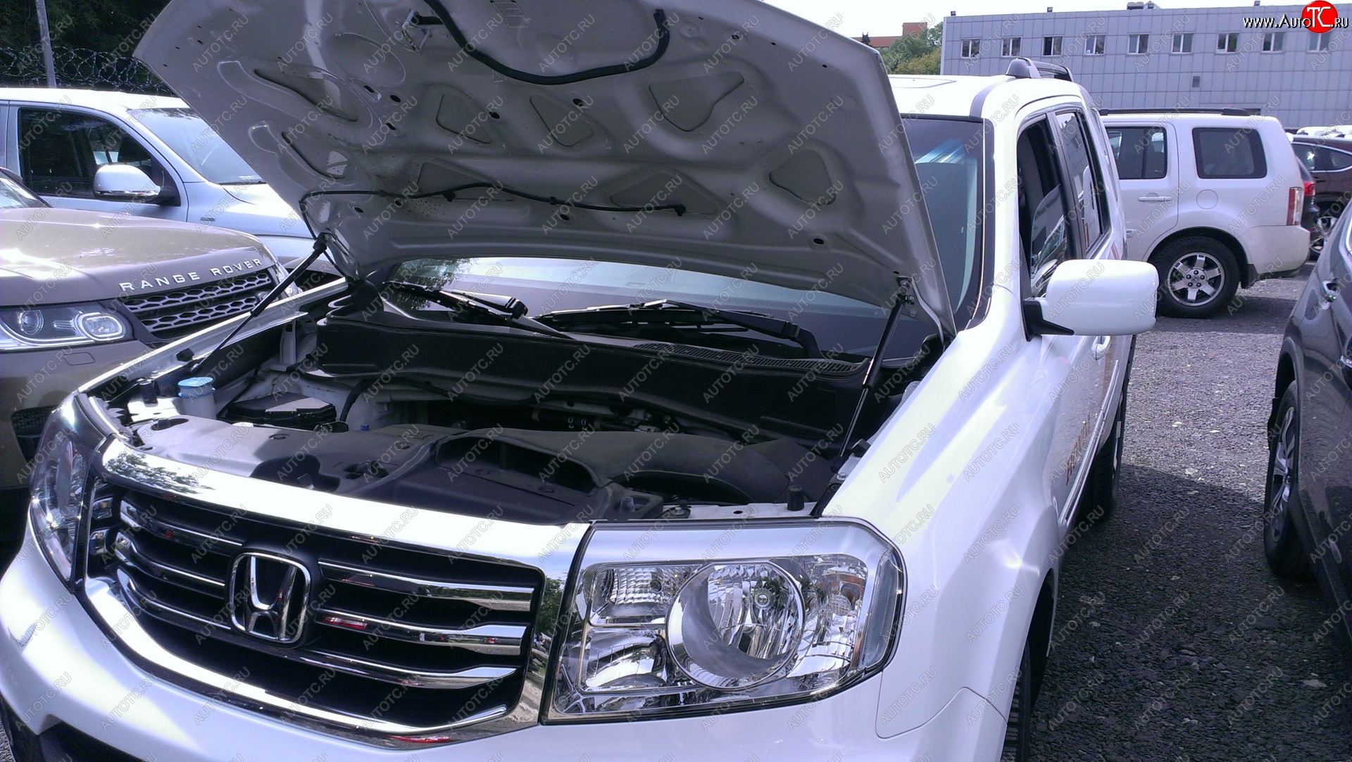 2 299 р. Упоры капота Russtal Honda Pilot YF4 дорестайлинг (2008-2011)  с доставкой в г. Керчь