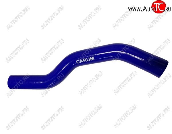 1 079 р. Патрубок радиатора (2.7 силикон) CARUM  Hyundai Santa Fe  SM (2000-2012) (верхний)  с доставкой в г. Керчь