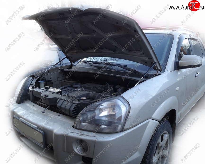 2 049 р. Упоры капота Russtal Hyundai Tucson JM (2004-2010)  с доставкой в г. Керчь