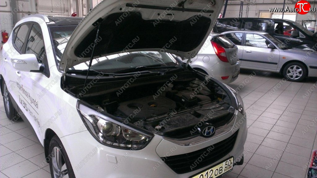 2 199 р. Газовые упоры капота Berkut Hyundai IX35 LM рестайлинг (2013-2018)  с доставкой в г. Керчь