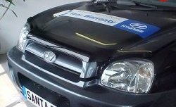 Дефлектор капота NovLine Hyundai Santa Fe SM (2000-2012)