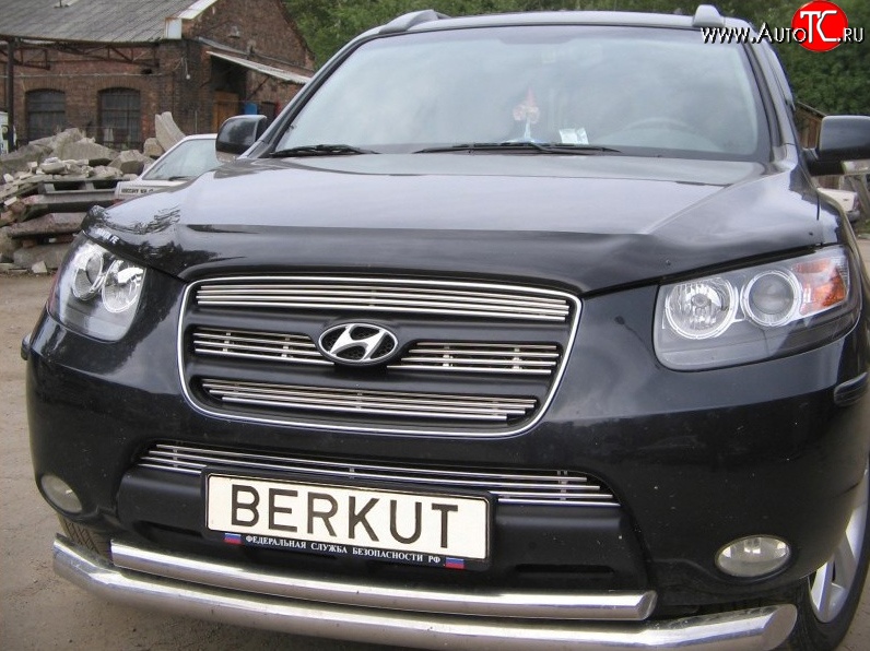 5 999 р. Декоративная вставка решетки радиатора Berkut Hyundai Santa Fe CM дорестайлинг (2006-2009)  с доставкой в г. Керчь
