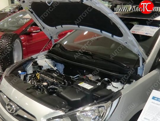 2 199 р. Газовые упоры капота Berkut Hyundai Solaris RBr седан дорестайлинг (2010-2014)  с доставкой в г. Керчь