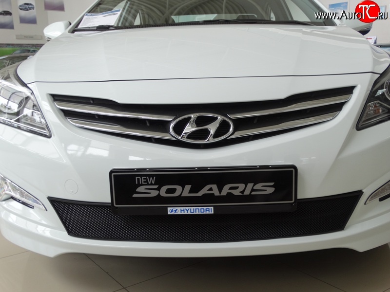 2 099 р. Сетка на бампер Russtal (черная) Hyundai Solaris RBr седан рестайлинг (2014-2017)  с доставкой в г. Керчь