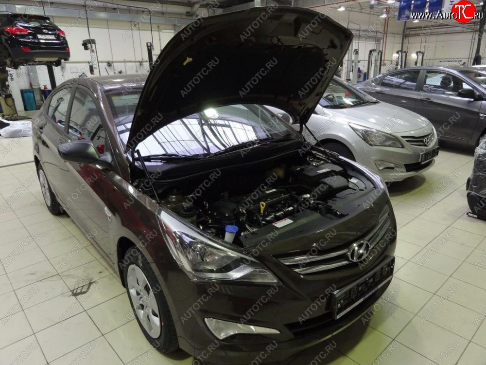2 199 р. Газовые упоры капота Berkut Hyundai Solaris RBr седан рестайлинг (2014-2017)  с доставкой в г. Керчь