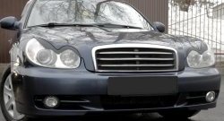 919 р. Реснички на фары RA Hyundai Sonata EF рестайлинг ТагАЗ (2001-2013) (Неокрашенные)  с доставкой в г. Керчь. Увеличить фотографию 2