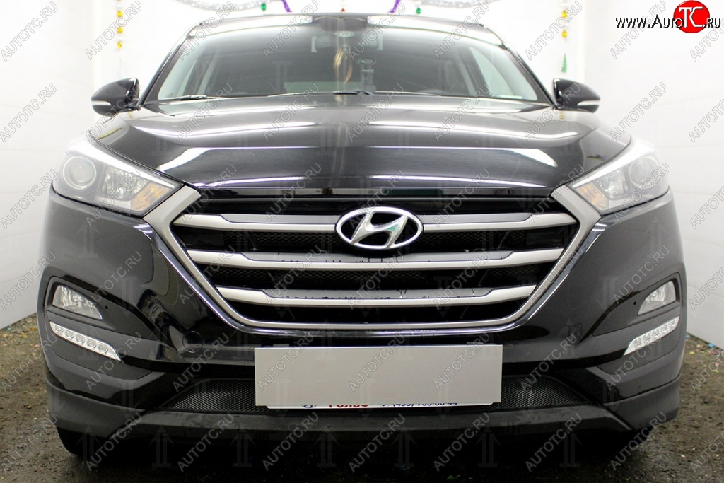 1 469 р. Защитная сетка на бампер Russtal (черная) Hyundai Tucson TL дорестайлинг (2015-2018)  с доставкой в г. Керчь