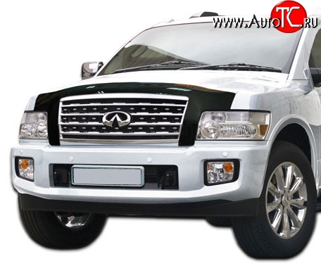 5 079 р. Дефлектор капота NovLine INFINITI QX56 Z62 (2010-2013)  с доставкой в г. Керчь