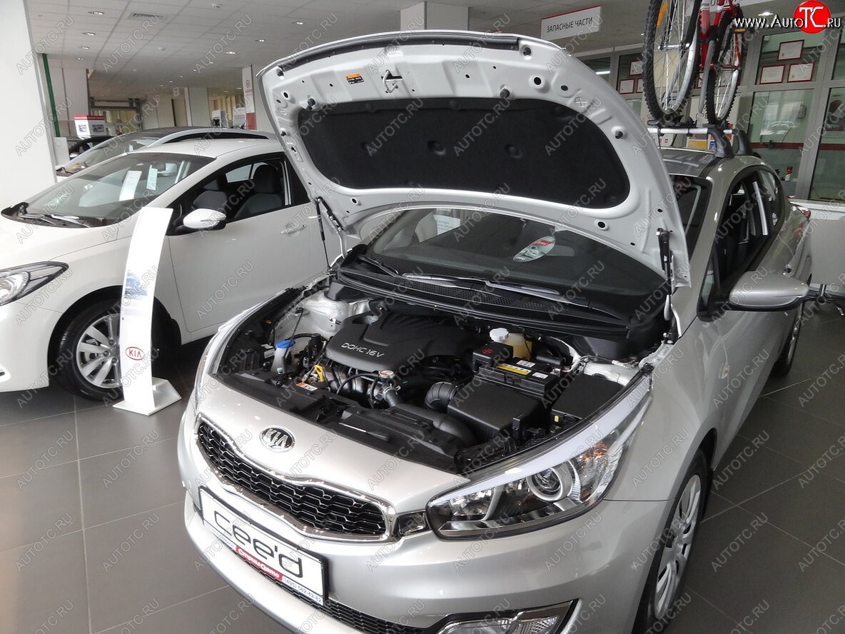 2 049 р. Упоры капота Russtal KIA Ceed 2 JD дорестайлинг, хэтчбэк (2012-2015)  с доставкой в г. Керчь