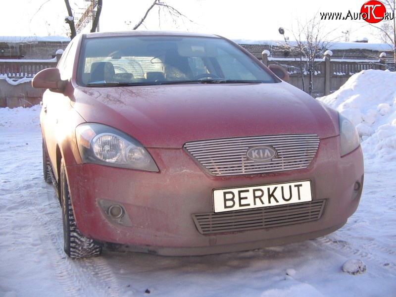 4 799 р. Декоративная вставка решетки радиатора Berkut KIA Ceed 1 ED дорестайлинг, хэтчбэк 5 дв. (2006-2010)  с доставкой в г. Керчь