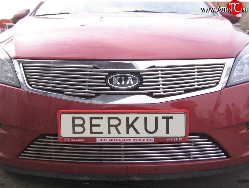 5 099 р. Декоративная вставка решетки радиатора Berkut KIA Ceed 1 ED рестайлинг, хэтчбэк 5 дв. (2010-2012)  с доставкой в г. Керчь