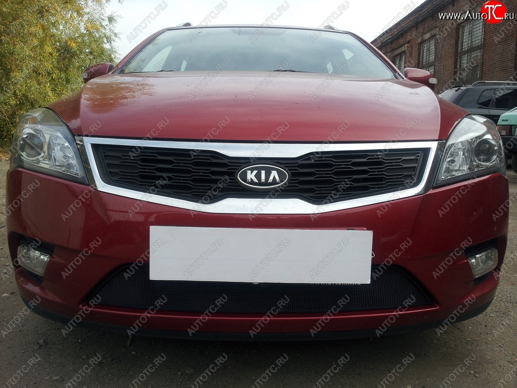 1 469 р. Защитная сетка на бампер Russtal (черная) KIA Ceed 1 ED рестайлинг, хэтчбэк 5 дв. (2010-2012)  с доставкой в г. Керчь