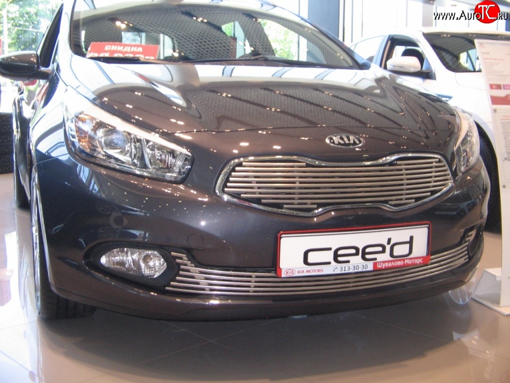 5 099 р. Декоративная вставка решетки радиатора Berkut KIA Ceed 1 ED рестайлинг, хэтчбэк 5 дв. (2010-2012)  с доставкой в г. Керчь