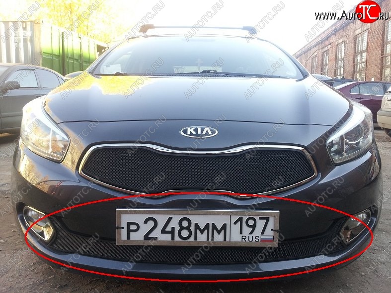 2 099 р. Нижняя защитная сетка на бампер Russtal (черная) KIA Ceed 1 ED рестайлинг, хэтчбэк 5 дв. (2010-2012)  с доставкой в г. Керчь