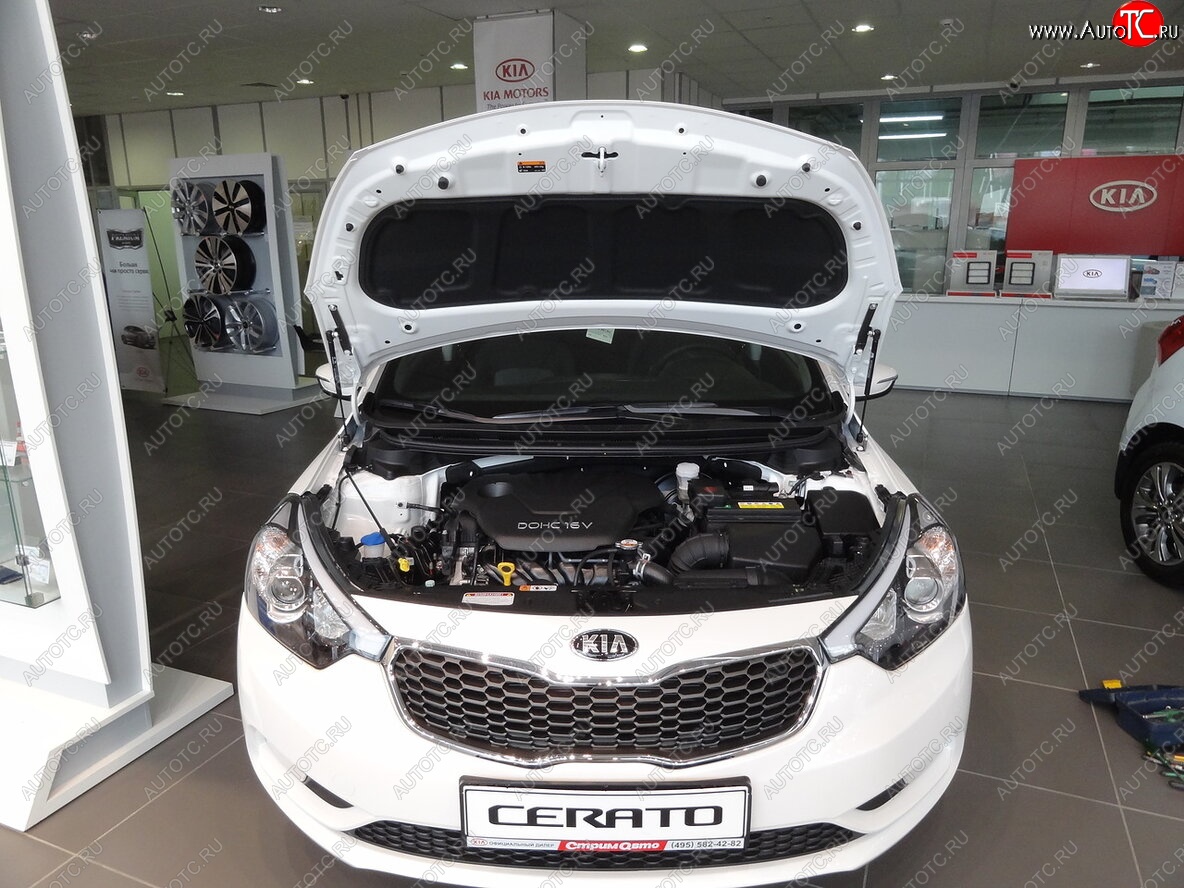 2 049 р. Упоры капота Russtal KIA Cerato 3 YD дорестайлинг седан (2013-2016)  с доставкой в г. Керчь