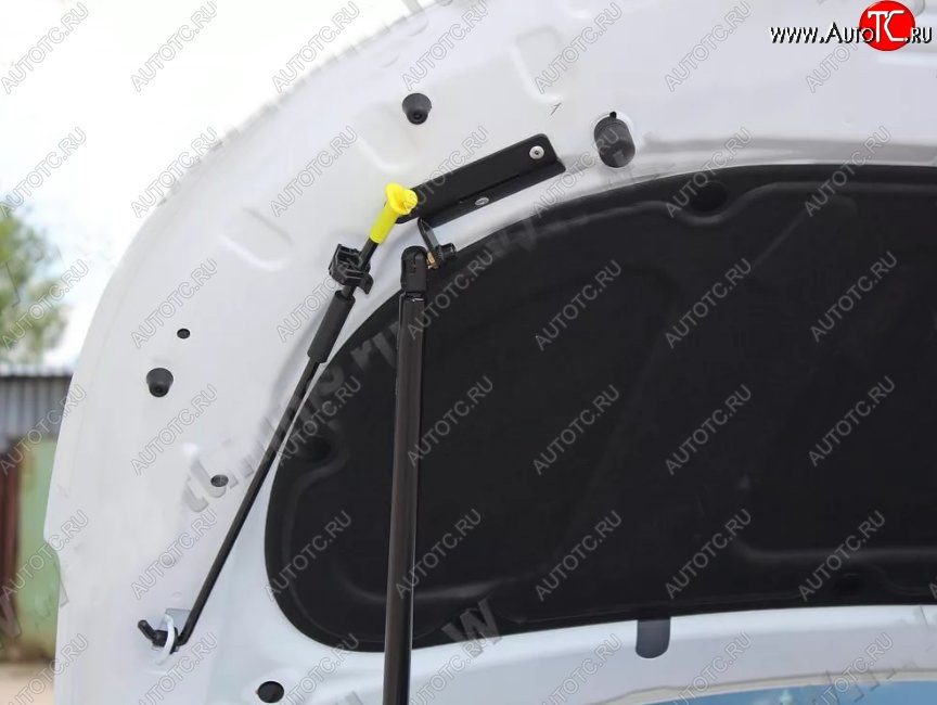 2 689 р. Газовый упор капота Tuning-Sport KIA Rio 3 QB хэтчбек 5 дв. рестайлинг (2015-2017)  с доставкой в г. Керчь