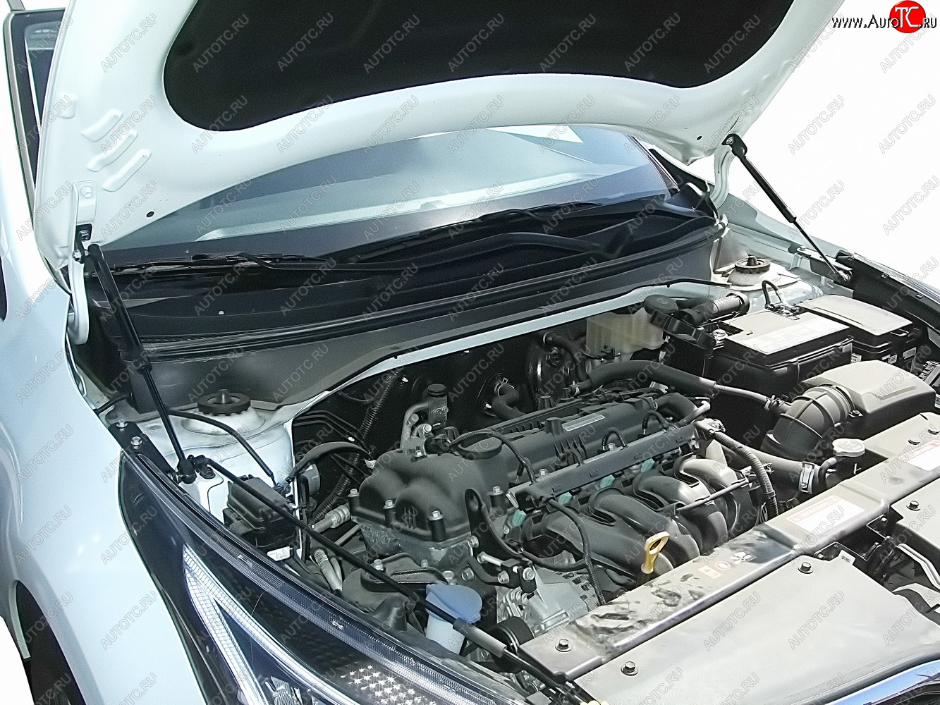 3 499 р. Упор капота Arbori KIA Rio X рестайлинг (2020-2025)  с доставкой в г. Керчь