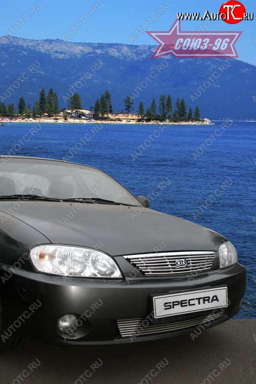 4 274 р. Декоративный элемент решётки радиатора Souz-96 (d10) KIA Spectra (2000-2009)  с доставкой в г. Керчь