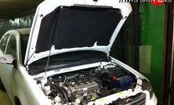 2 249 р. Упор капота Sport Toyota Corolla E120 универсал дорестайлинг (2000-2004) (Без кронштейна, установка на растяжку стоек Sport)  с доставкой в г. Керчь. Увеличить фотографию 2
