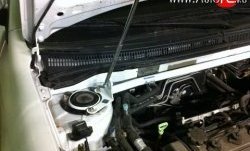 2 249 р. Упор капота Sport Toyota Corolla E120 универсал дорестайлинг (2000-2004) (Без кронштейна, установка на растяжку стоек Sport)  с доставкой в г. Керчь. Увеличить фотографию 3