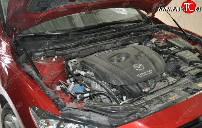 2 199 р. Газовые упоры капота Berkut Mazda 6 GJ дорестайлинг седан (2012-2015)  с доставкой в г. Керчь