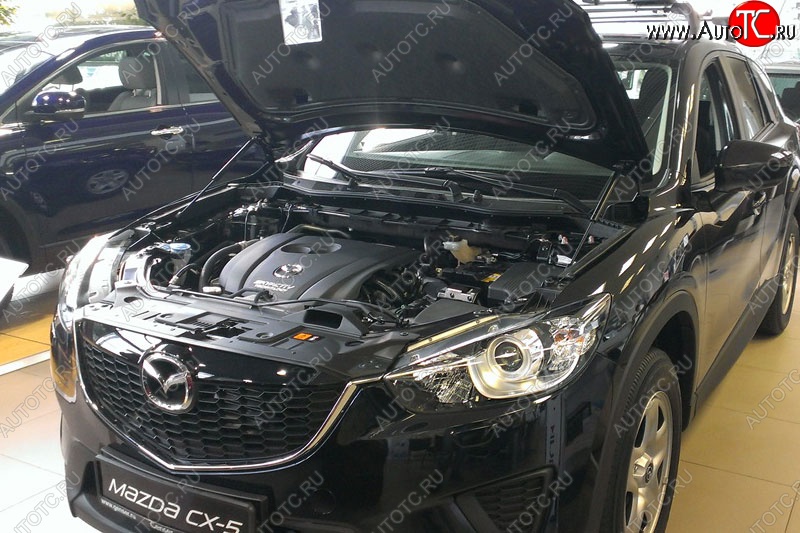 2 199 р. Газовые упоры капота Berkut Mazda CX-5 KE рестайлинг (2015-2017)  с доставкой в г. Керчь