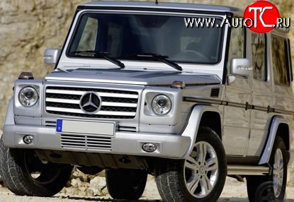19 199 р. Решётка радиатора AMG Mercedes-Benz G class W463 5 дв. дорестайлинг (1989-1994) (Неокрашенная)  с доставкой в г. Керчь