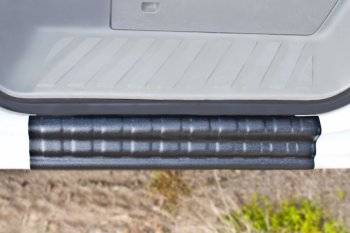 1 679 р. Накладка на внутренние пороги дверей RA  Mercedes-Benz Sprinter  W906 (2006-2013)  с доставкой в г. Керчь. Увеличить фотографию 3
