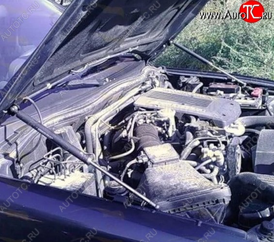 2 199 р. Газовые упоры капота Berkut Mitsubishi Pajero 3 V70 дорестайлинг (1999-2003)  с доставкой в г. Керчь
