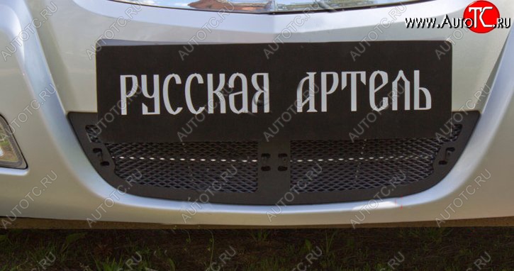 1 799 р. Защитная сетка решетки переднего бампера РА  Nissan Almera Classic  седан (2006-2013) B10  с доставкой в г. Керчь