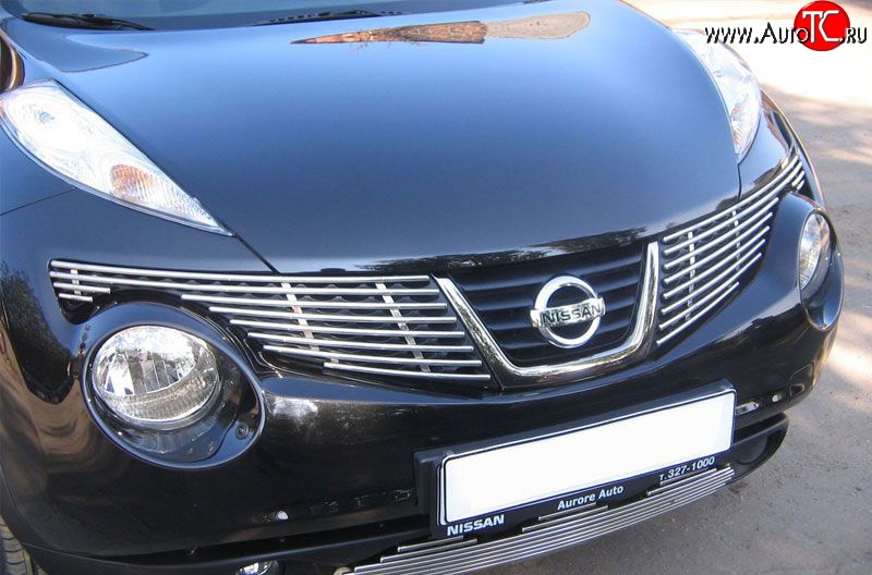 6 499 р. Декоративная вставка решетки радиатора Berkut Nissan Juke 1 YF15 дорестайлинг (2010-2014)  с доставкой в г. Керчь