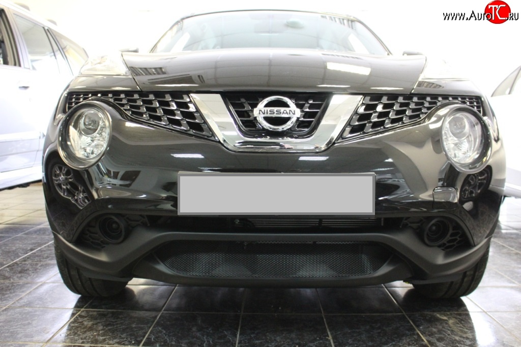 1 469 р. Сетка на бампер (рестайлинг) Russtal (черная) Nissan Juke 1 YF15 дорестайлинг (2010-2014)  с доставкой в г. Керчь