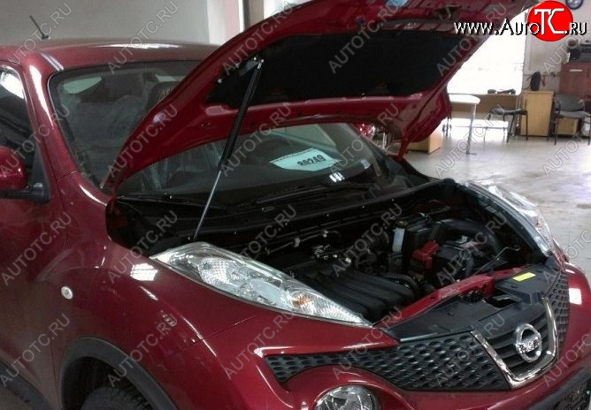 2 199 р. Газовый упор капота Berkut Nissan Juke 1 YF15 дорестайлинг (2010-2014)  с доставкой в г. Керчь