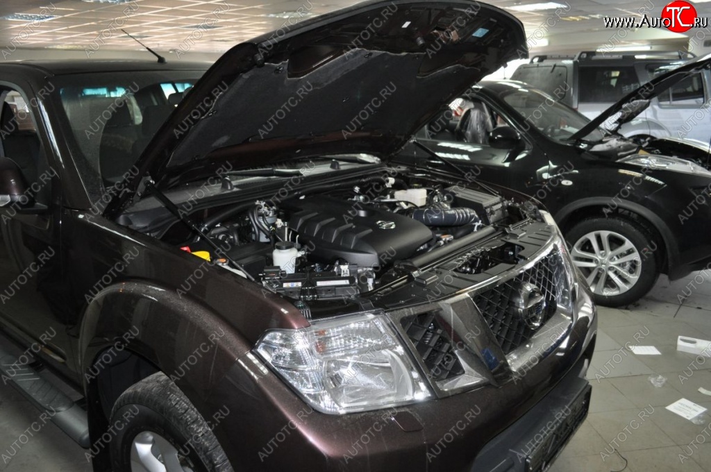 2 199 р. Газовые упоры капота Berkut Nissan Navara 2 D40 дорестайлинг (2004-2010)  с доставкой в г. Керчь