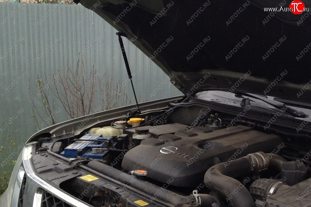 1 699 р. Газовые упоры капота Berkut Nissan Pathfinder R51 рестайлинг (2009-2014)  с доставкой в г. Керчь