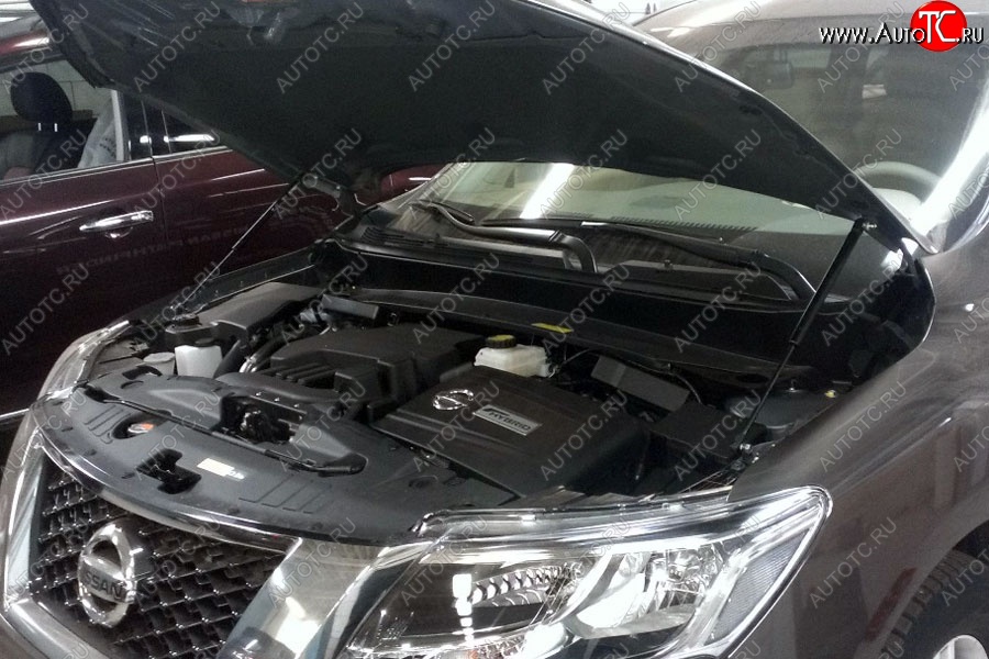 2 199 р. Газовые упоры капота Berkut Nissan Pathfinder R52 дорестайлинг (2012-2017)  с доставкой в г. Керчь