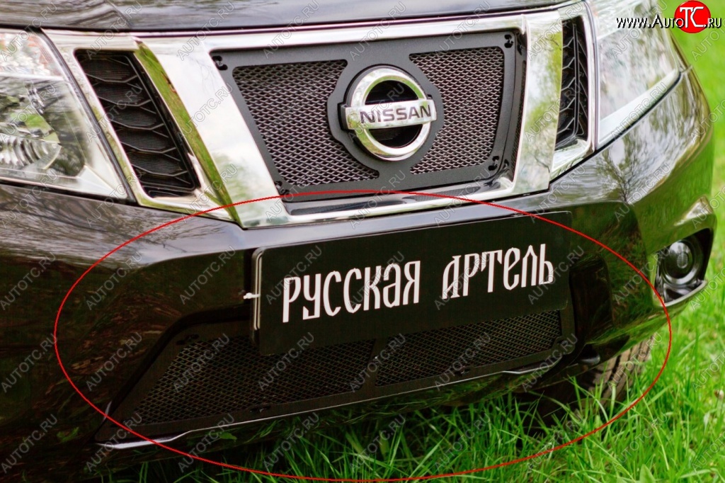 2 279 р. Защитная сетка решетки переднего бампера РА  Nissan Terrano  D10 (2013-2022) дорестайлинг, рестайлинг  с доставкой в г. Керчь