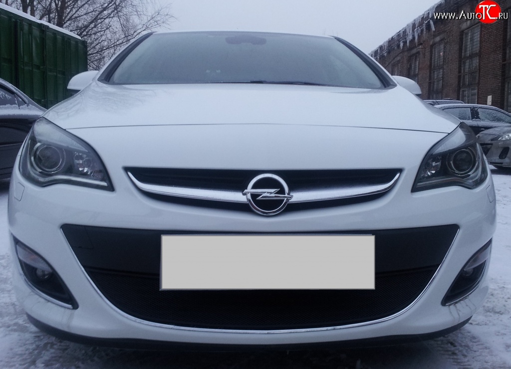 1 469 р. Сетка на бампер Russtal (черная) Opel Astra J хэтчбек 5 дв.  рестайлинг (2012-2017)  с доставкой в г. Керчь