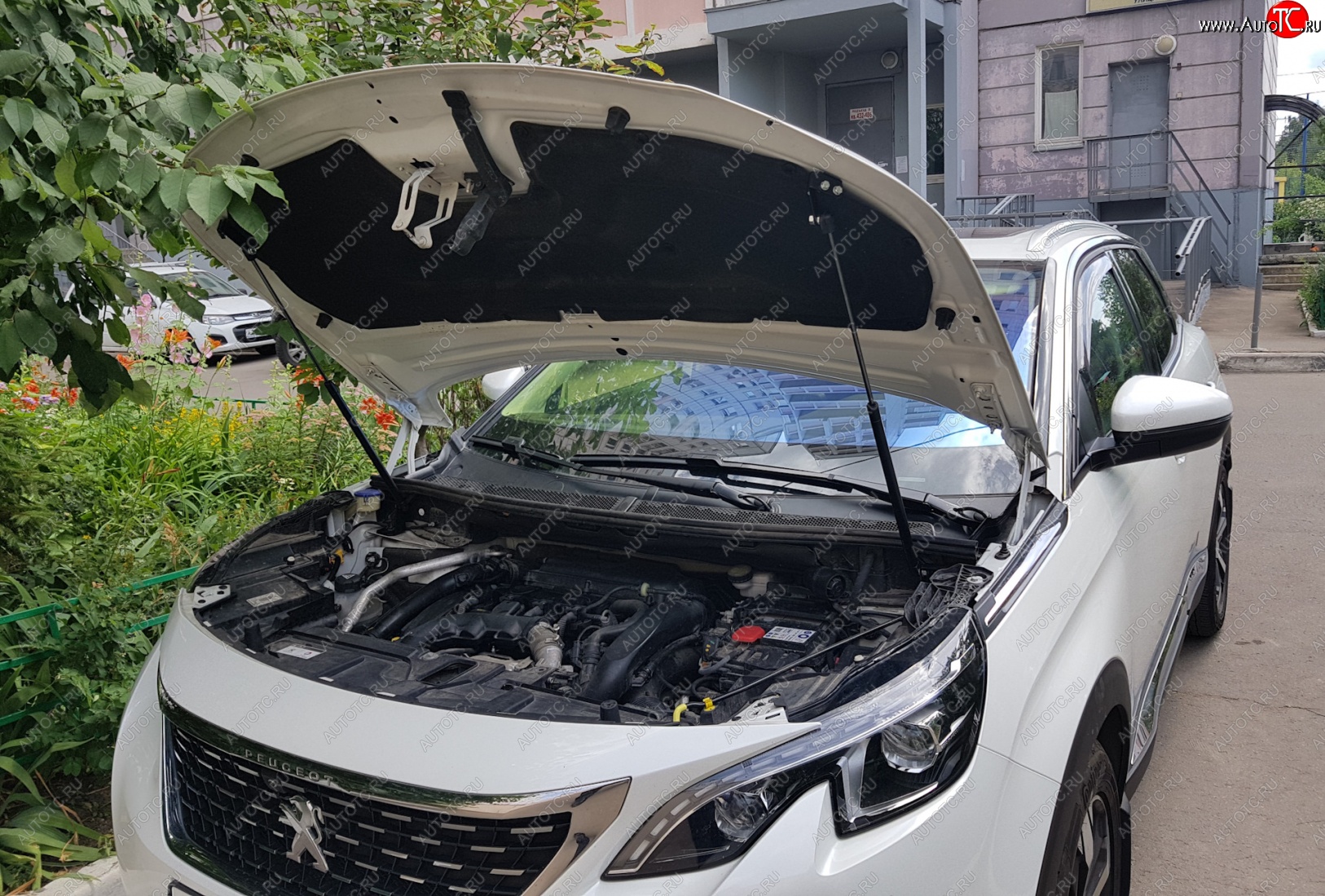 2 799 р. Упоры капота Russtal Peugeot 3008 2 (2016-2025)  с доставкой в г. Керчь
