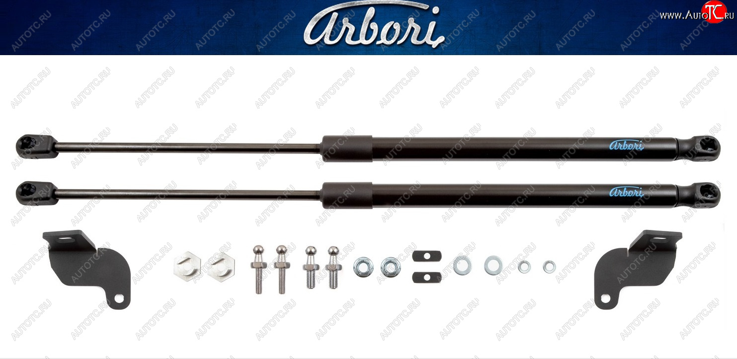 4 199 р. Комплект упоров капота Arbori Peugeot Partner B9 2-ой рестайлинг (2015-2018)  с доставкой в г. Керчь