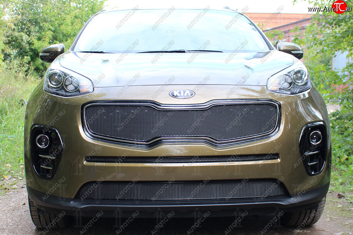 4 099 р. Защитная сетка в бампер (низ, ячейка 4х10 мм) Alfeco Премиум  KIA Sportage  4 QL (2016-2018) дорестайлинг (Чёрная)  с доставкой в г. Керчь