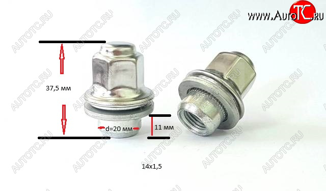 399 р. Колесная гайка (прессшайба, с нерж. колпачком, 37.5 мм) Вектор M14x1.5    с доставкой в г. Керчь