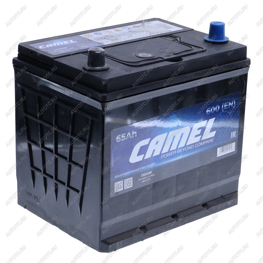 8 249 р. Аккумулятор CAMEL Asia 65Ач CAMEL 6ст65(1) 75d23r  с доставкой в г. Керчь