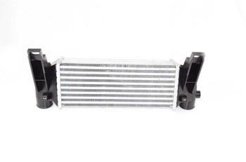 Интеркулер FORD Transit (02-13) BSG