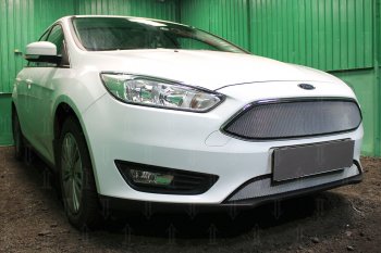 2 899 р. Защитная сетка в бампер (низ, ячейка 3х7 мм) Alfeco Стандарт Ford Focus 3 седан рестайлинг (2014-2019) (Хром)  с доставкой в г. Керчь. Увеличить фотографию 2