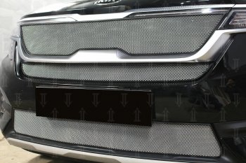 2 899 р. Защитная сетка в бампер (низ, с датчиком SCC, ячейка 3х7 мм) Alfeco Стандарт KIA Seltos (2019-2025) (Хром)  с доставкой в г. Керчь. Увеличить фотографию 2
