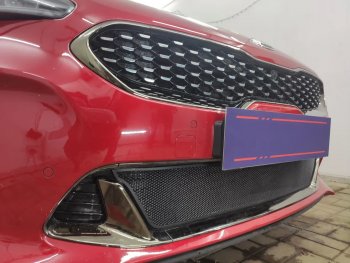 3 089 р. Защитная сетка в бампер (низ, ячейка 3х7 мм) Alfeco Стандарт KIA Stinger (2017-2025) (Чёрная)  с доставкой в г. Керчь. Увеличить фотографию 3