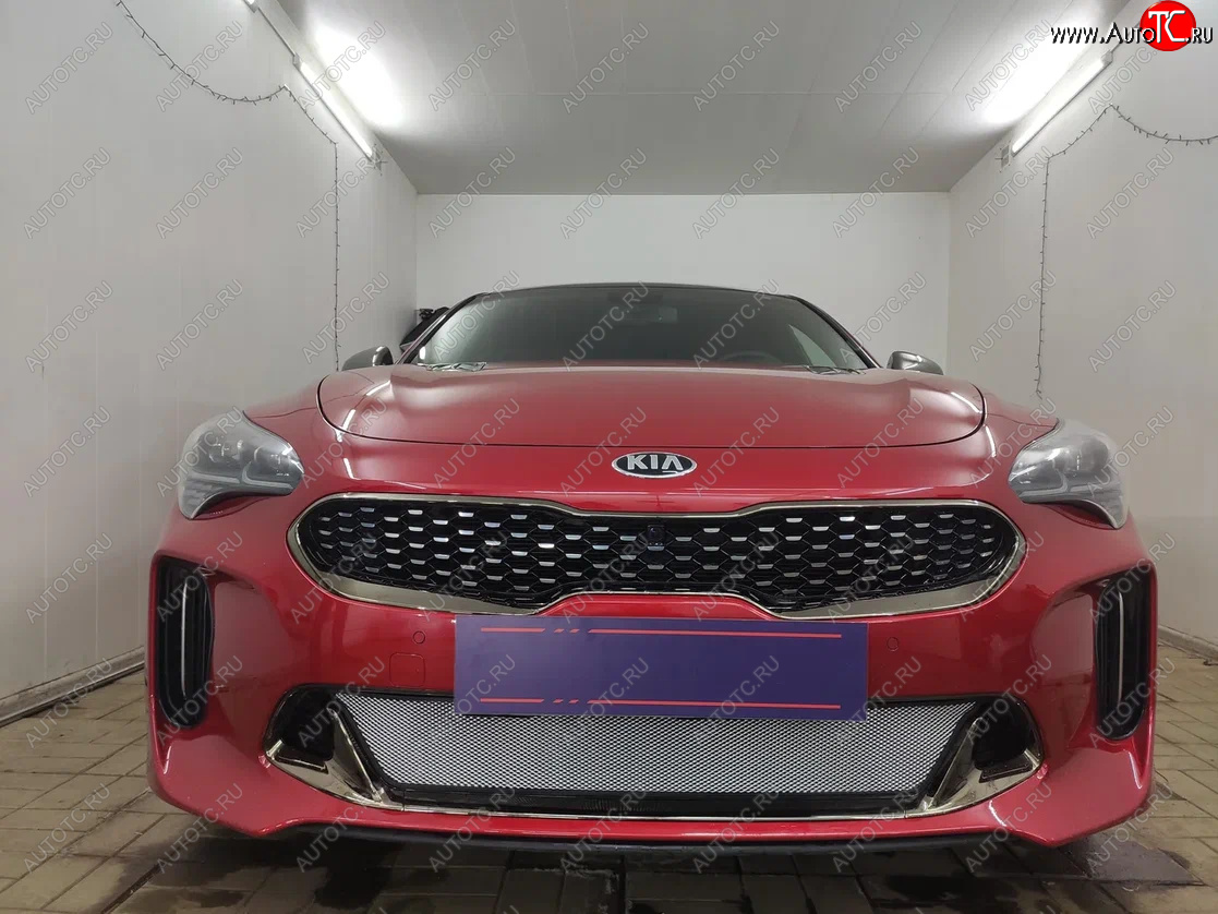 3 489 р. Защитная сетка в бампер (низ, ячейка 3х7 мм) Alfeco Стандарт KIA Stinger (2017-2025) (Хром)  с доставкой в г. Керчь